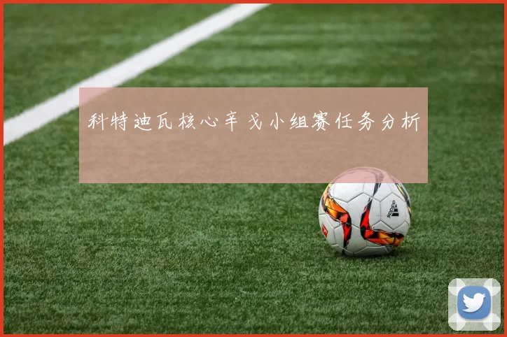科特迪瓦核心辛戈小组赛任务分析