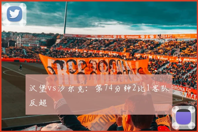 汉堡vs沙尔克:第74分钟2比1客队反超