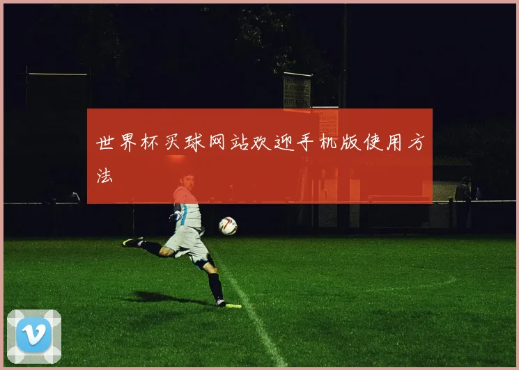 世界杯买球网站欢迎手机版使用方法