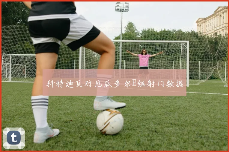 科特迪瓦对厄瓜多尔E组射门数据