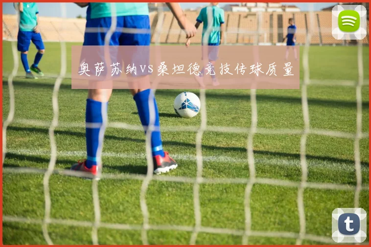 奥萨苏纳vs桑坦德竞技传球质量