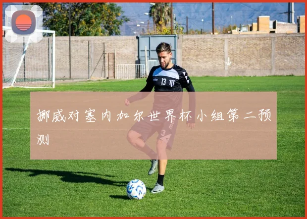 挪威对塞内加尔世界杯小组第二预测