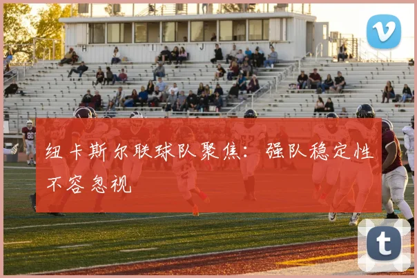 纽卡斯尔联球队聚焦:强队稳定性不容忽视