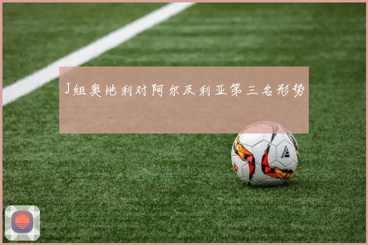 J组奥地利对阿尔及利亚第三名形势