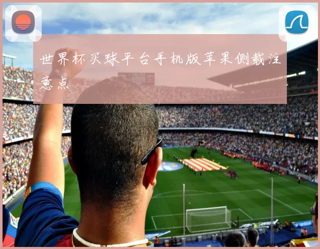世界杯买球平台手机版苹果侧载注意点