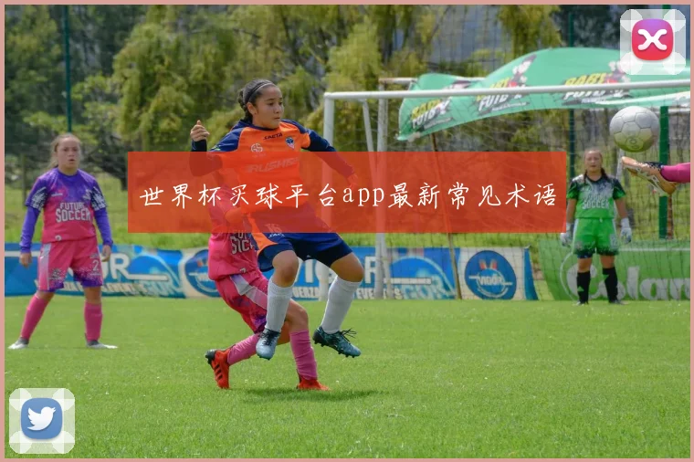 世界杯买球平台app最新常见术语