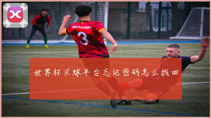 世界杯买球平台忘记密码怎么找回