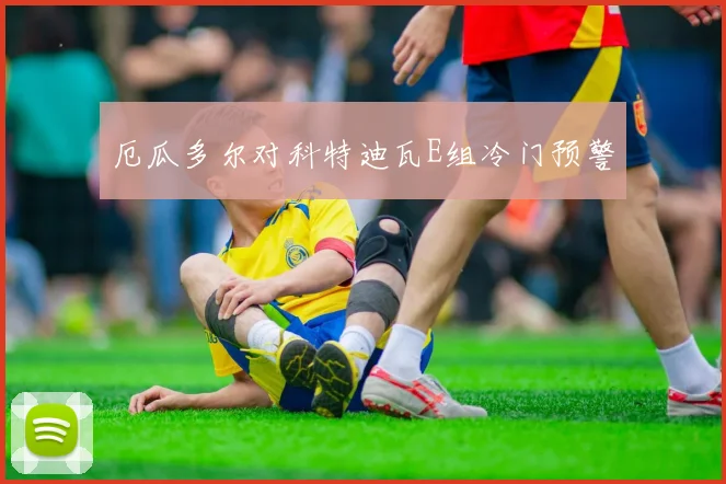 厄瓜多尔对科特迪瓦E组冷门预警